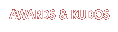 Awards and Kudos